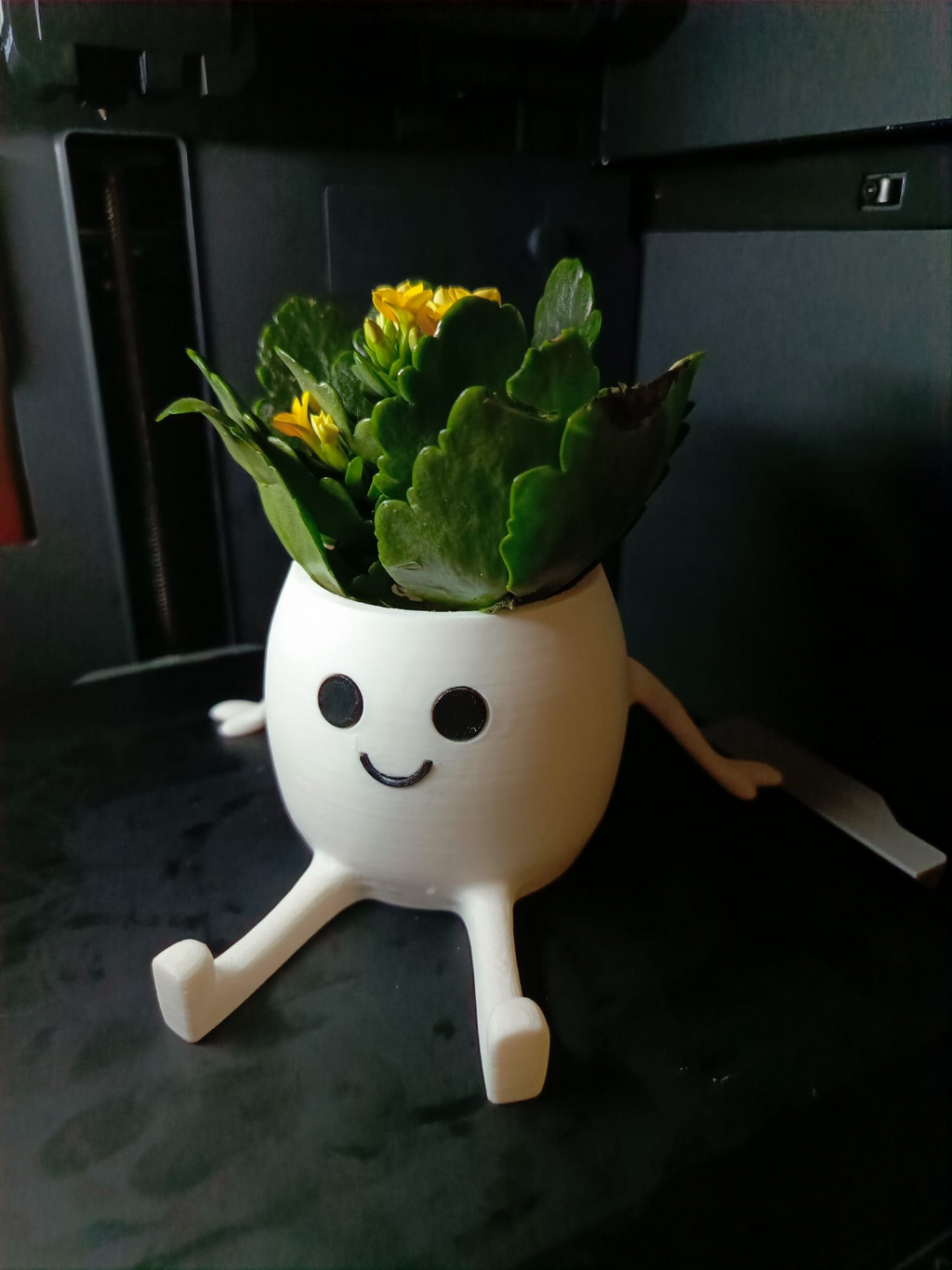 Happy Pot - Mini Planter
